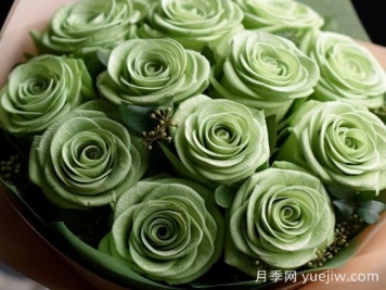 苏格兰复古绿玫瑰，绿色魅力的神秘诠释
