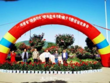 河南省四优四化项目 助推南阳月季、栀子产业发展